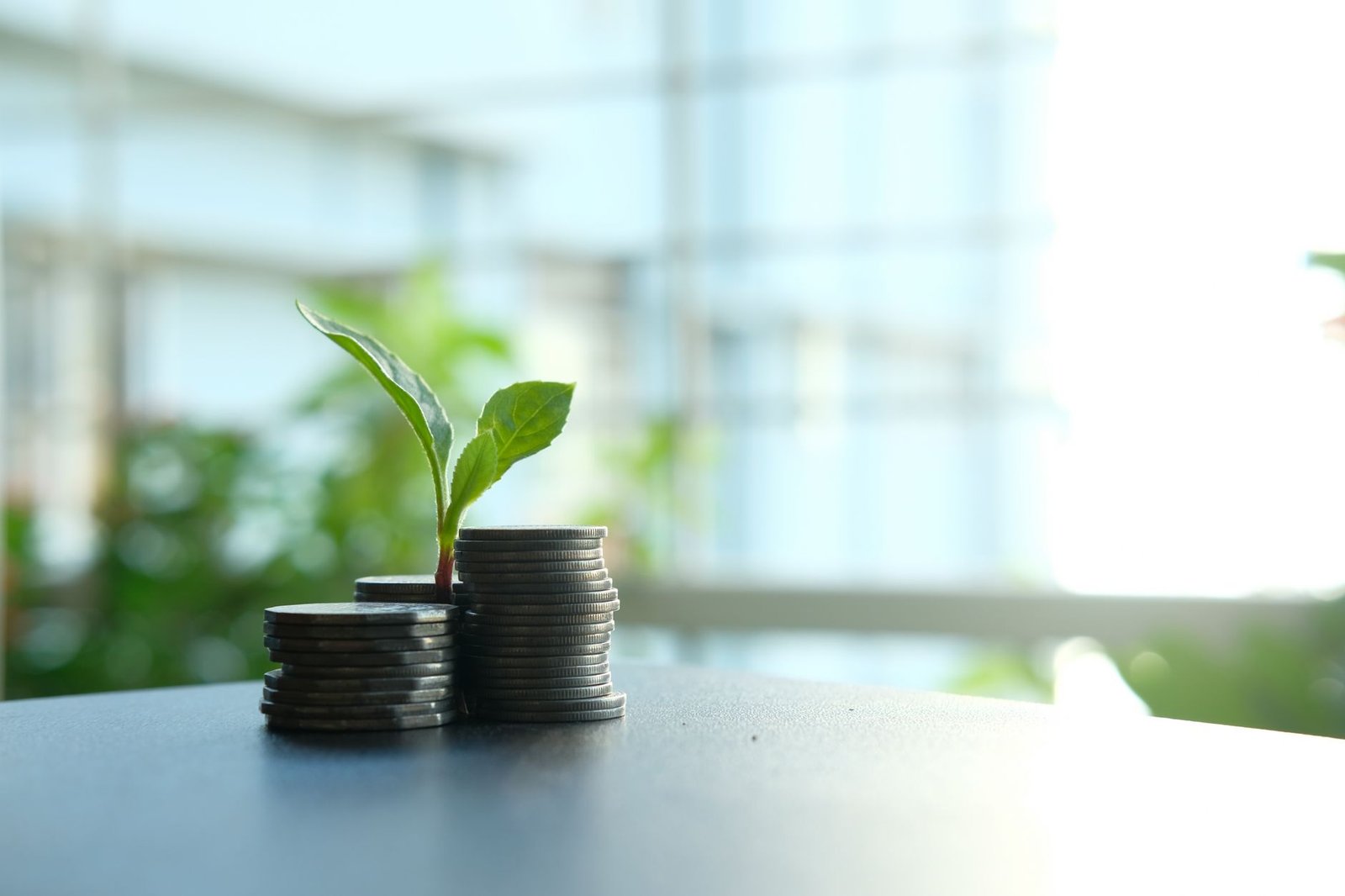 small plant sprouting from stacked coins symbolizing the compounding return a speaker gets from investing in their website and materials